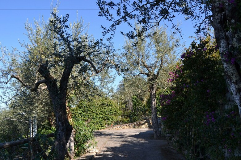Apartamento Casa Degli Ulivi