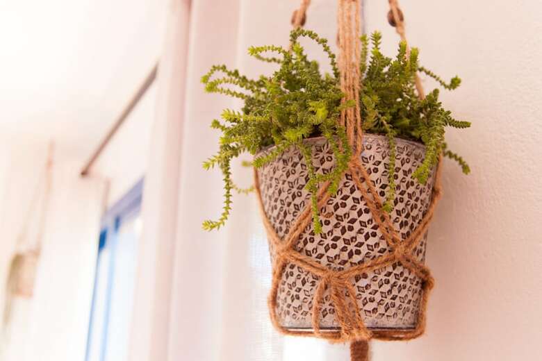 Apartamentos Beach House With Garden