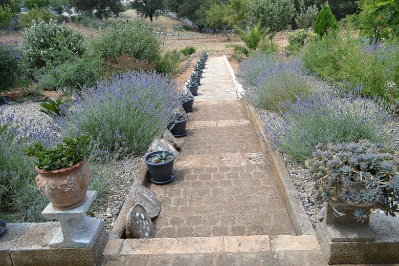 B&B Villa Lavanda