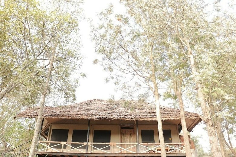 Posada Ngorongoro Forest Tented Lodge