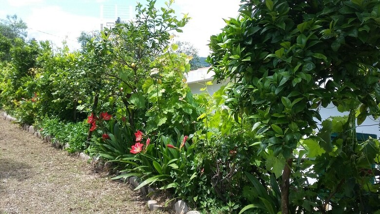 Apartamento Liberato Puglia Vacanze