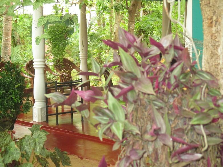 Bed & Breakfast Palitha Home Stay