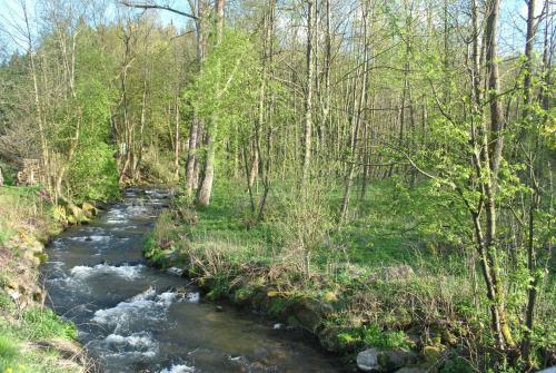 Hostal Gasthof & Pension Brettm�hle