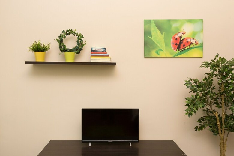 Erasmus Student Apartments