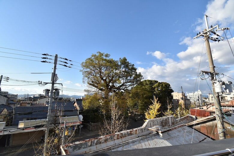 Apartamentos Ielife Resort Higashiyama