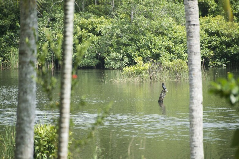 Apartamento Kaju Green Eco Lodges