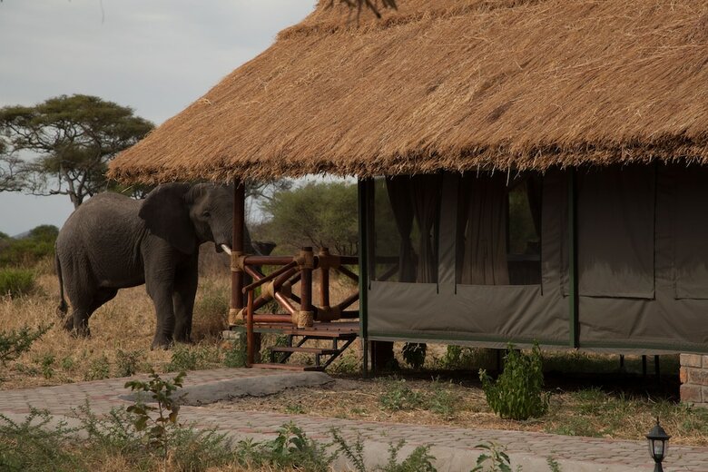 Tarangire Simba Lodge