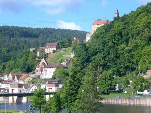 Apartamentos Romantisches Hirschhorn Am Neckar