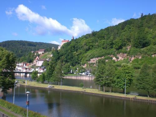 Apartamentos Romantisches Hirschhorn Am Neckar