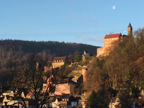 Apartamentos Romantisches Hirschhorn Am Neckar