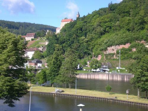 Apartamentos Romantisches Hirschhorn Am Neckar