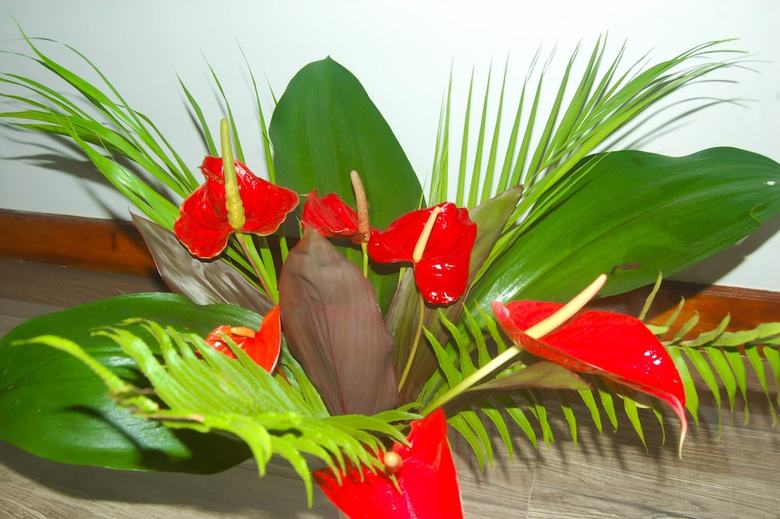 Bed & Breakfast Green View Home Stay