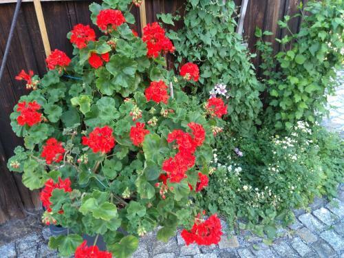 Hostal Landhaus Rundblick