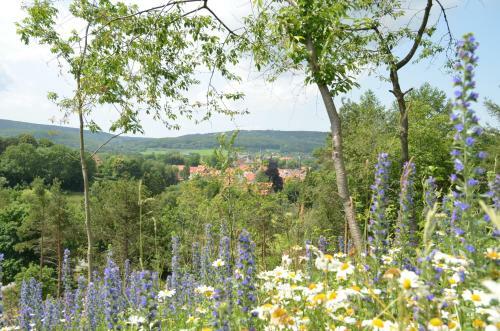 Hk-hotel Der J�gerhof Willebadessen