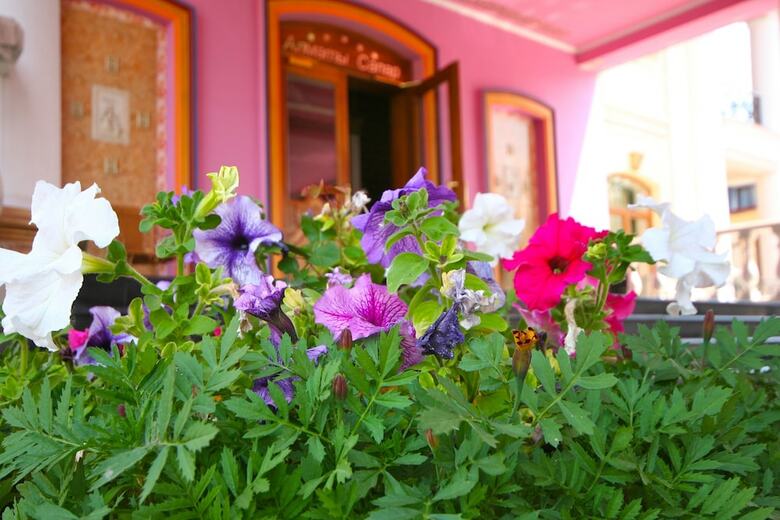 Hotel Almaty Sapar