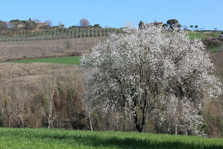 Agroturismo Fattoria Di Rigone