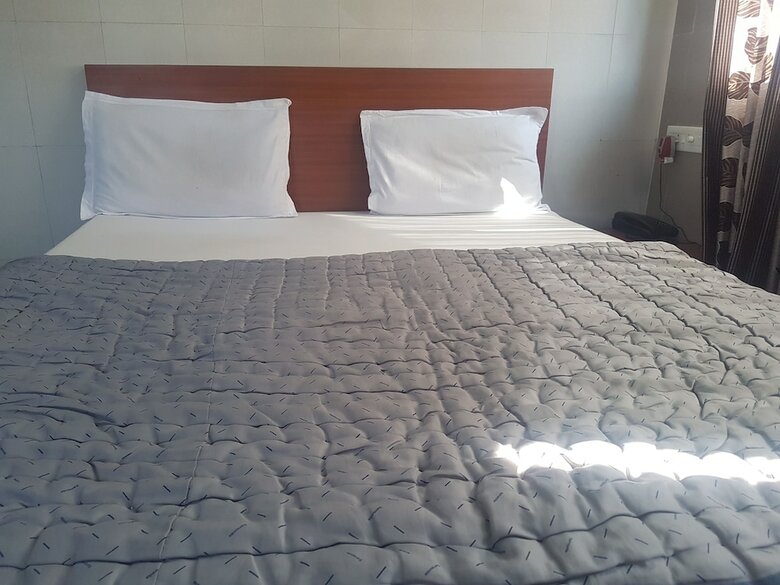 Hotel Dhruv Palace