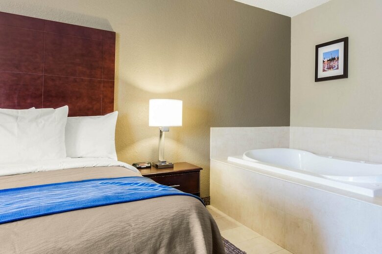 Hotel Comfort Inn Atlanta Downtown South