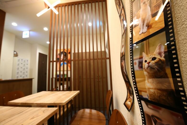 Apartamentos Yagura Hostel