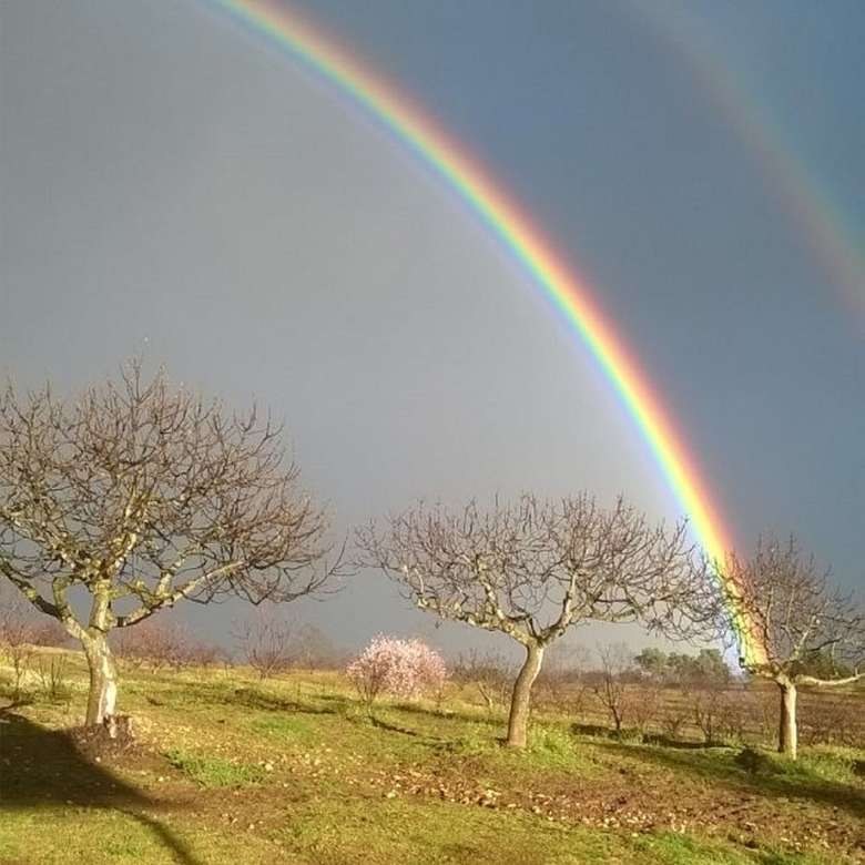 Agroturismo Casa Rural La Vallejera