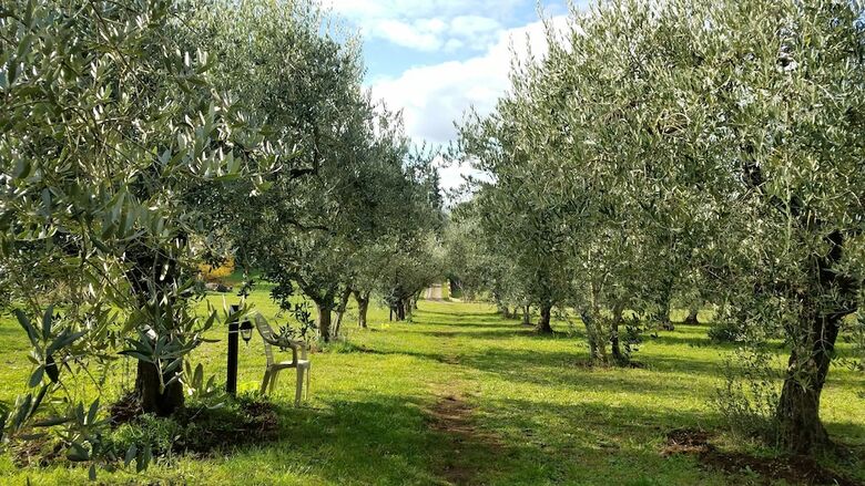 Agroturismo Olive Tree Hill