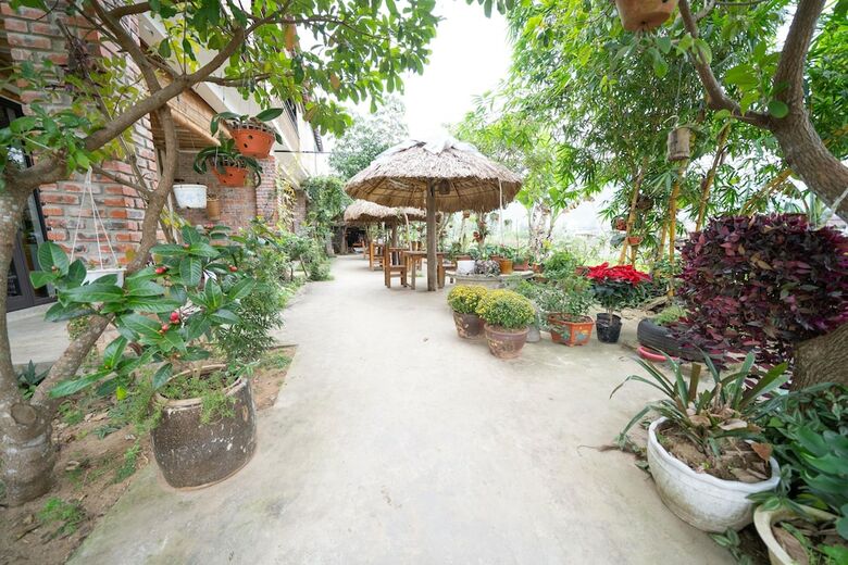 Hotel Jungle Boss Homestay