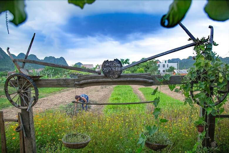 Hotel Jungle Boss Homestay