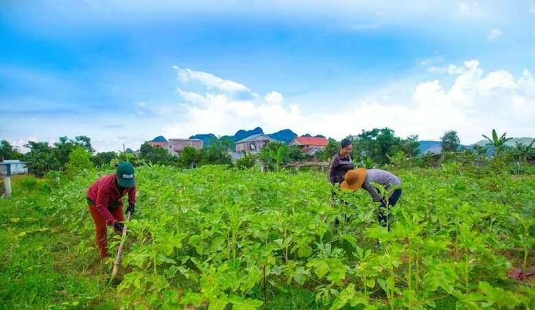 Hotel Jungle Boss Homestay