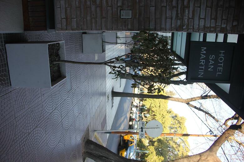 Hotel San Martin