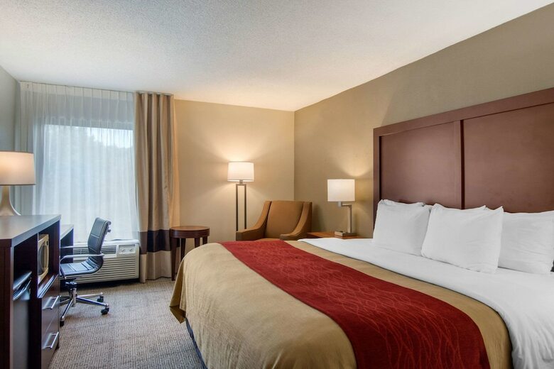 Hotel Comfort Inn Chester - Richmond South