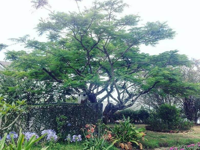 Hotel Sol House Dalat Homestay