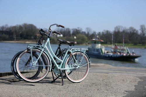 Ringhotel Rheinhotel Vier Jahreszeiten