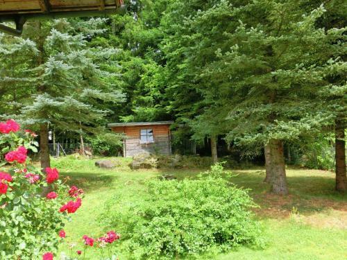 Holiday Home Bischofsmais Bischofsmais