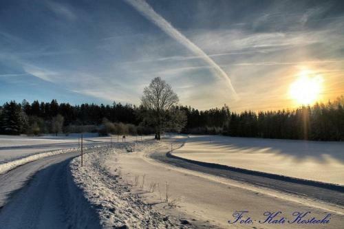 Hotel Sch�fflerhof