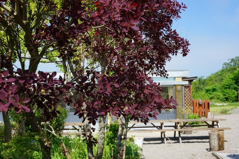 Pension Nordly Vandrerhjem
