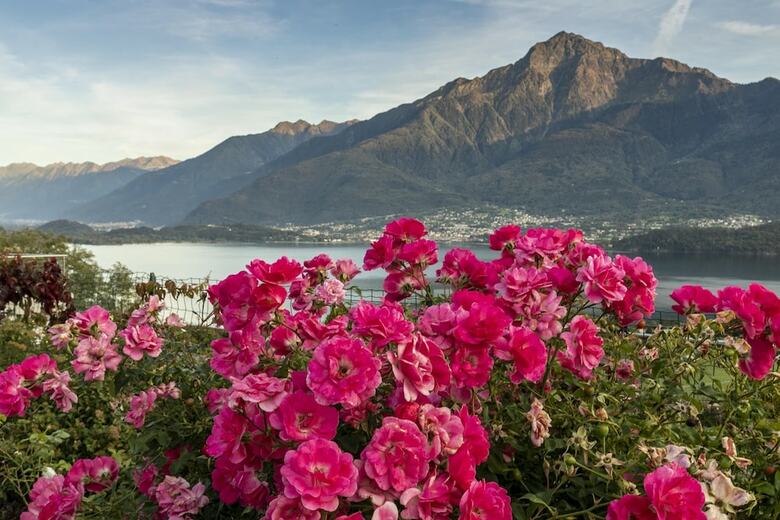 Apartamento La Collina Degli Ulivi