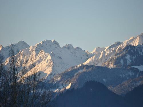 Apartamento Ferienwohnung Alpenterrasse