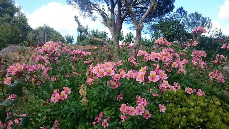 Agroturismo Quinta Da Idalina