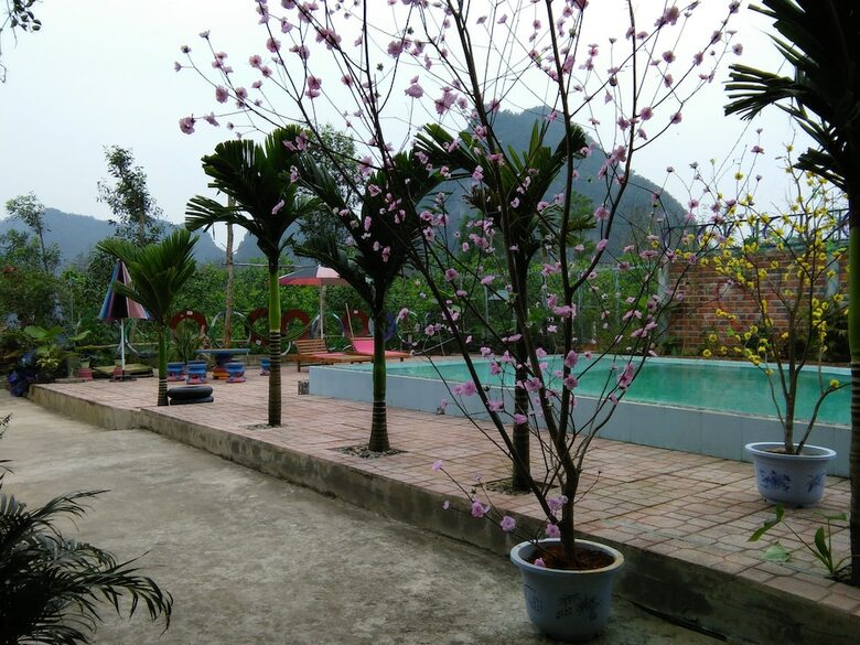 Hotel Tu Lan Homestay