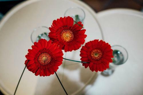 Romantik Hotel Ratskeller Wiedenbr�ck