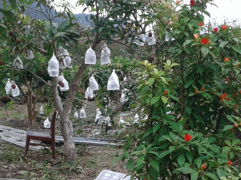 Taitung Linyuan B&B
