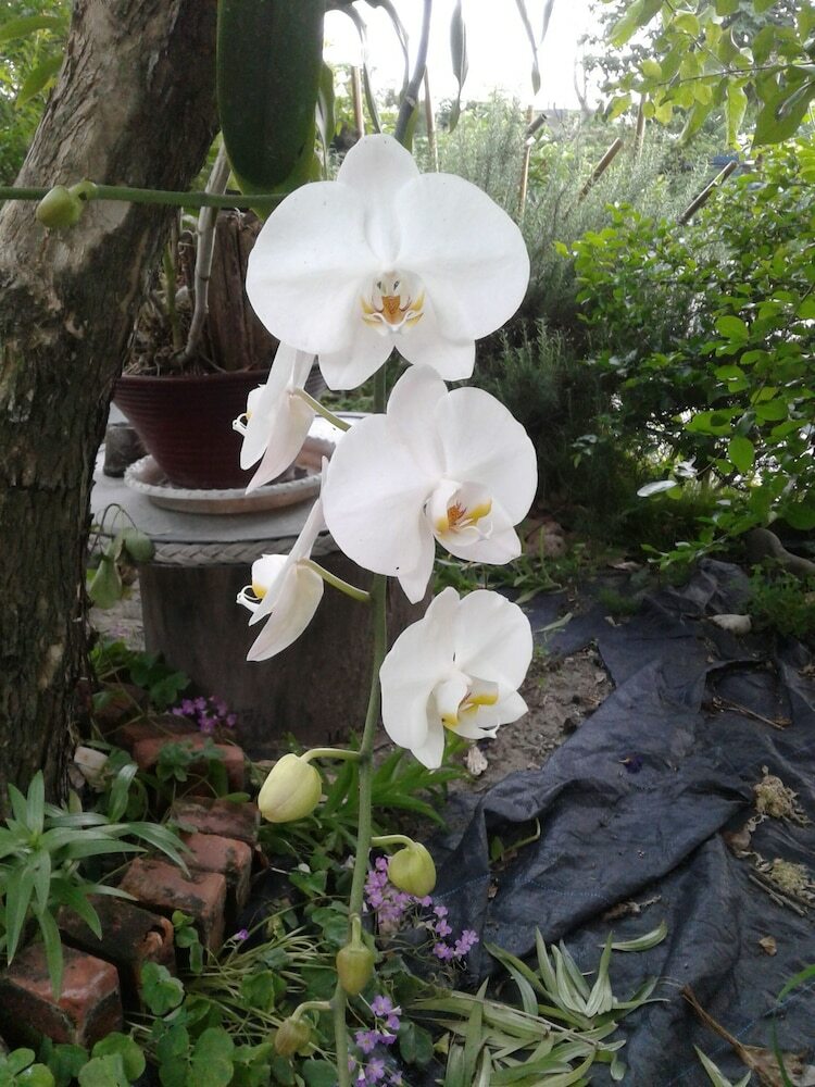 Taitung Linyuan B&B