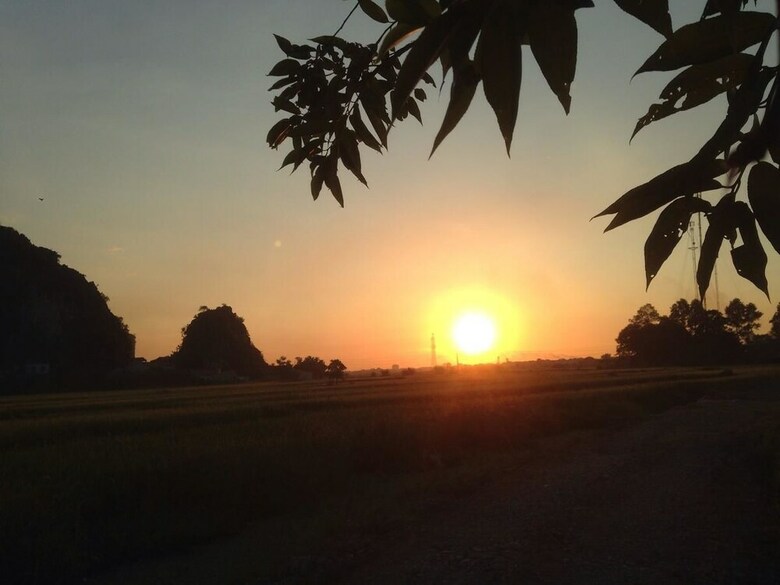Hotel Tam Coc Mountain View Homestay
