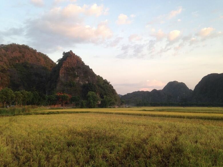 Hotel Tam Coc Mountain View Homestay
