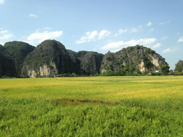 Hotel Tam Coc Mountain View Homestay