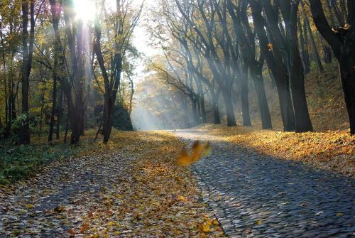 Hostal Hotel Abtshof