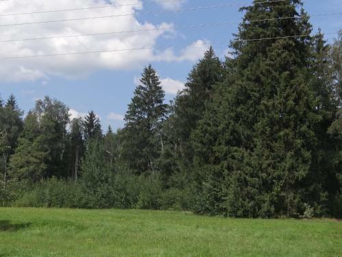 Hotel Beim Haxenwirt