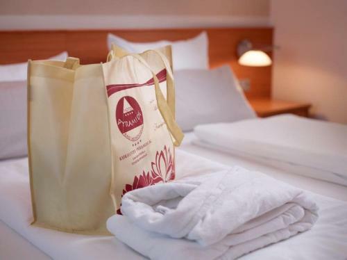 Hotel Pyramide Bad Windsheim