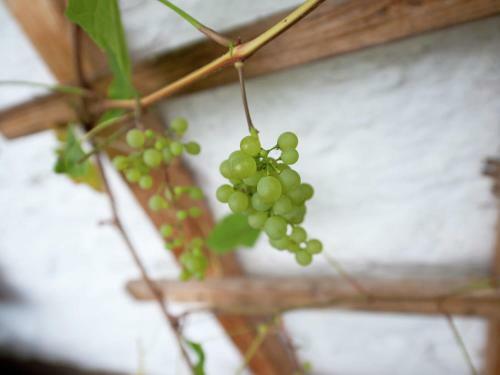 Spacious Apartment In Bavaria Near Ski Area