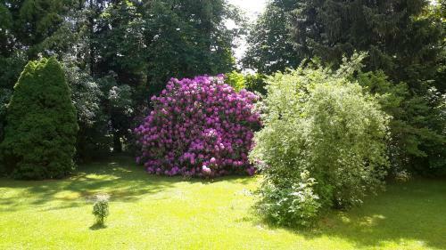 Hostal Kurpension W�lfel